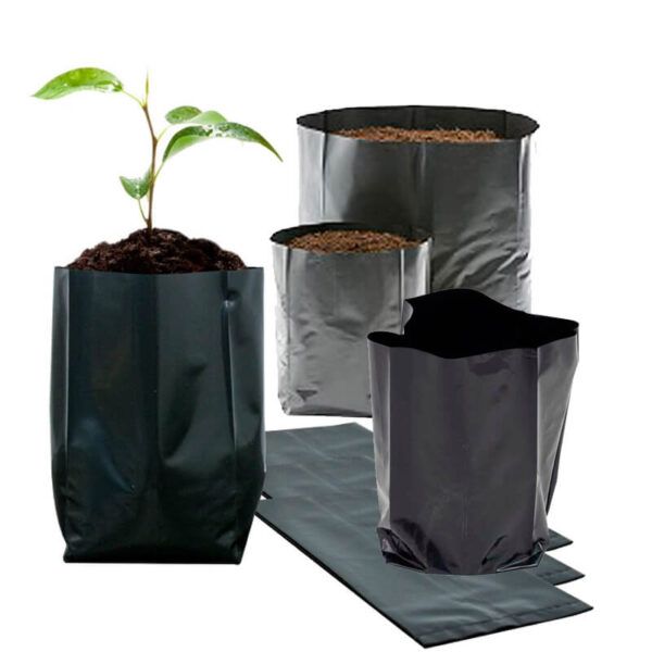 Bolsa Plástica para Plantas, Almacigos - Imagen 1